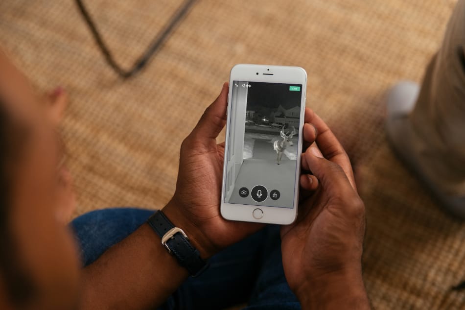 Yucca AZ security system